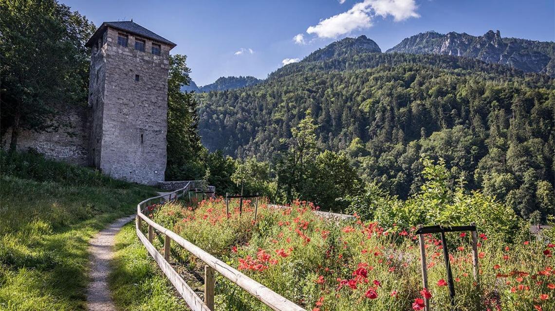 Ferienwohnungen Brigitte In Der Altstadt Bad Reichenhall Buitenkant foto